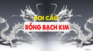 Cầu bạch kim