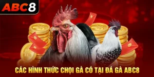 Những Hình Thức Đá Gà Hấp Dẫn Tại ABC888